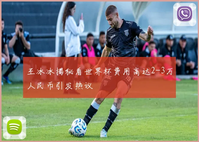 王冰冰揭秘看世界杯费用高达2-3万人民币引发热议