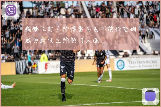 鹈鹕临时主帅博雷戈或不续任哈姆成为新任主帅热门人选